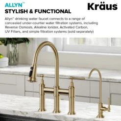 Allyn 100% Lead-Free Kitchen Water Filter Faucet in Brushed Gold