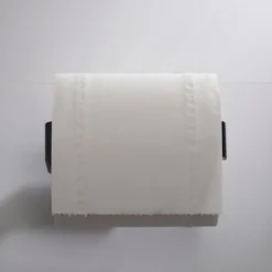 Bathroom Toilet Paper Holder in Matte Black