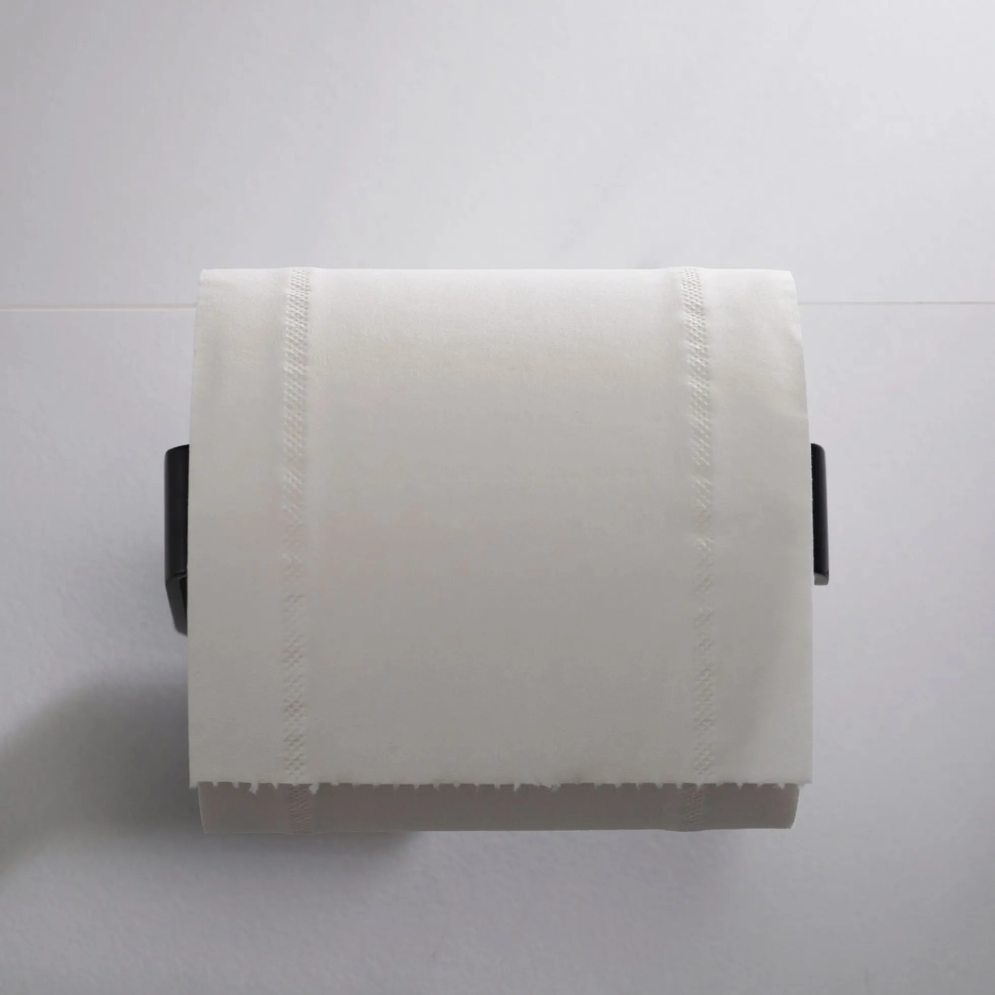 Bathroom Toilet Paper Holder in Matte Black