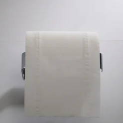 Bathroom Toilet Paper Holder in Chrome