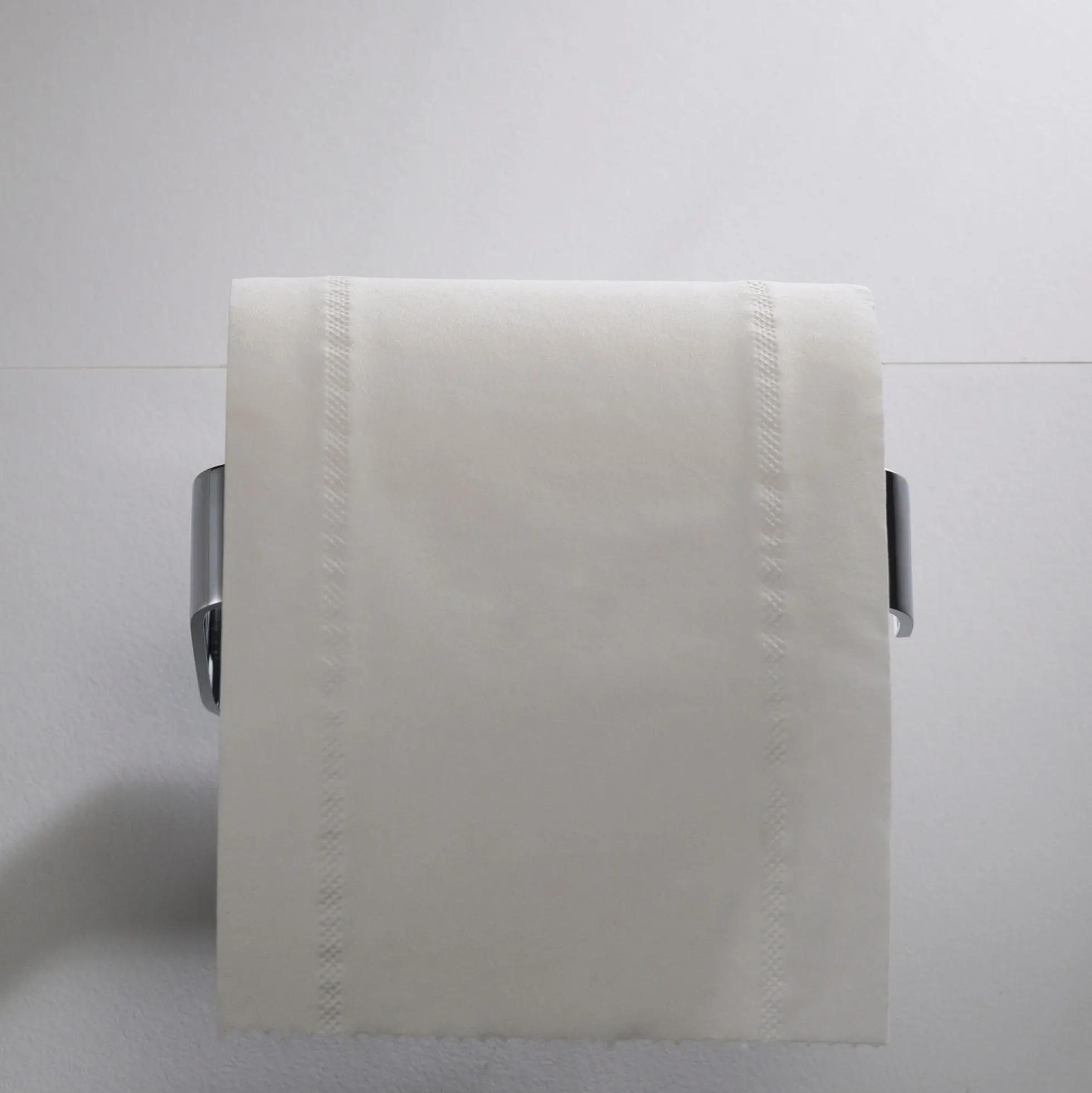 Bathroom Toilet Paper Holder in Chrome