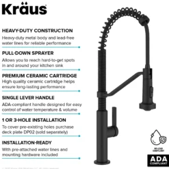 Commercial Style 2-Function Single Handle Pull Down Kitchen Faucet in Matte Black