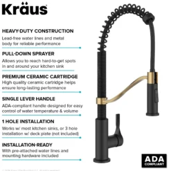 Commercial Style 2-Function Single Handle Pull Down Kitchen Faucet in Spot-Free Brushed Brass / Matte Black