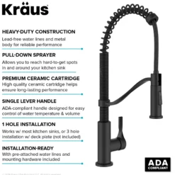 Commercial Style 2-Function Single Handle Pull Down Kitchen Faucet in Matte Black