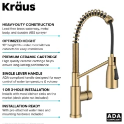 Commercial Style 2-Function Single Handle Pull Down Kitchen Faucet in Spot-Free Brushed Brass