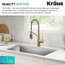 Commercial Style 2-Function Single Handle Pull Down Kitchen Faucet in Spot-Free Brushed Brass