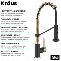 Commercial Style 2-Function Single Handle Pull Down Kitchen Faucet in Spot-Free Antique Champagne Bronze / Matte Black