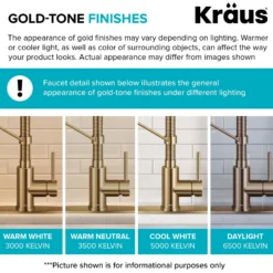 Commercial Style 2-Function Single Handle Pull Down Kitchen Faucet in Spot-Free Brushed Brass