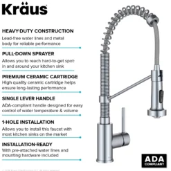 Commercial Style 2-Function Single Handle Pull Down Kitchen Faucet in Chrome