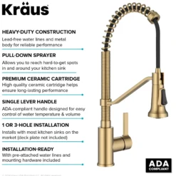 Commercial Style 2-Function Single Handle Pull Down Kitchen Faucet in Spot-Free Brushed Brass