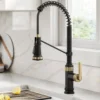 Commercial Style 2-Function Single Handle Pull Down Kitchen Faucet in Spot-Free Brushed Brass / Matte Black