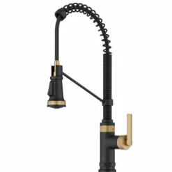 Commercial Style 2-Function Single Handle Pull Down Kitchen Faucet in Spot-Free Brushed Brass / Matte Black