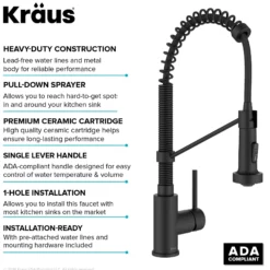Commercial Style Pull Down Kitchen Faucet and Water Filter Faucet Combo in Matte Black