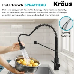 Commercial Style Pull Down Kitchen Faucet and Water Filter Faucet Combo in Matte Black