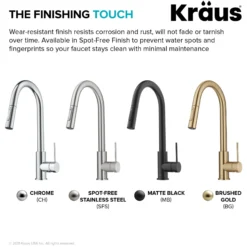 Contemporary Pull-Down Single Handle Kitchen Faucet in Matte Black