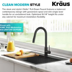 Contemporary Pull-Down Single Handle Kitchen Faucet in Matte Black