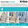 10" Deck Plate for Kitchen Faucet in Brushed Gold