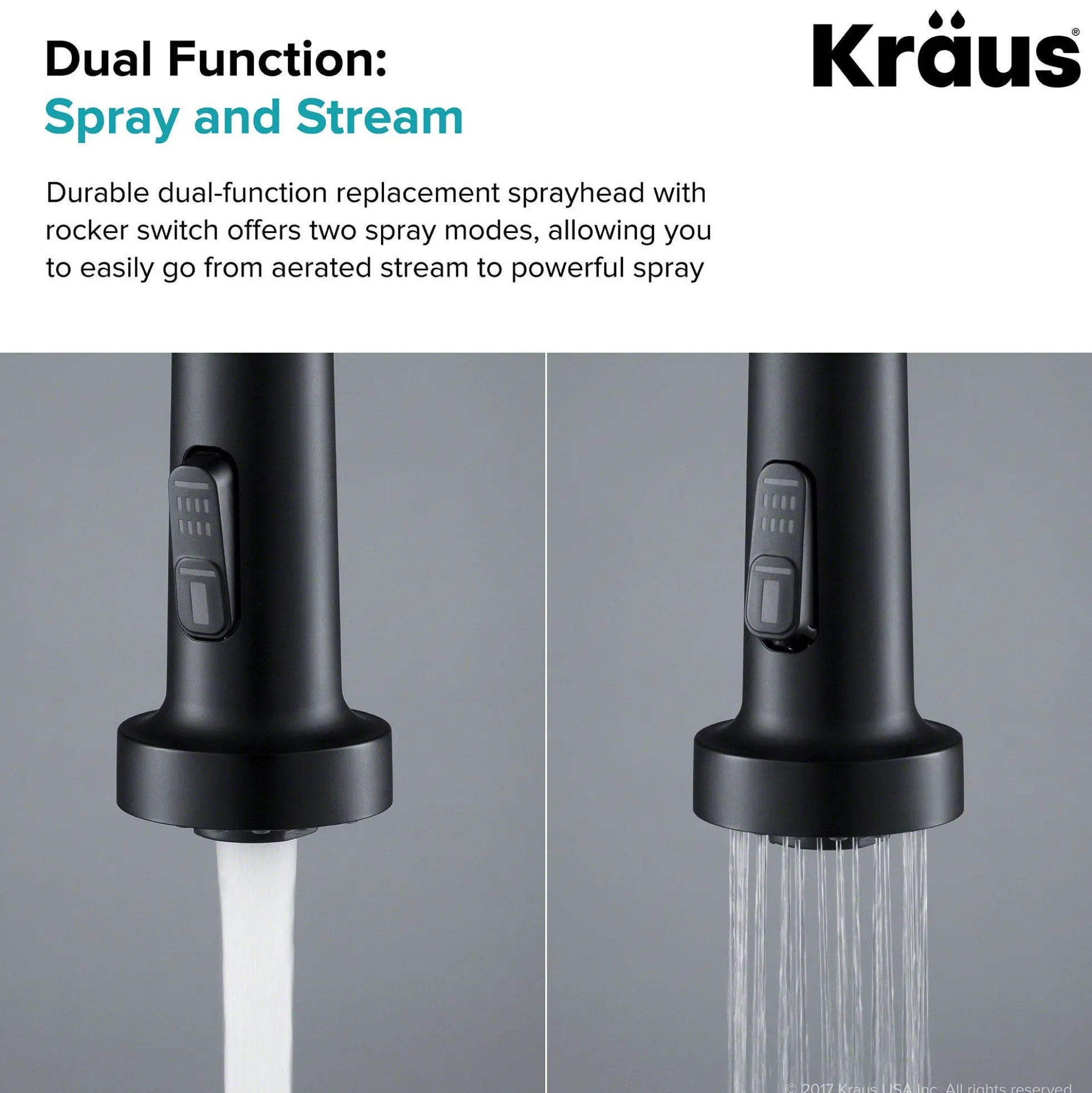 Dual Function Kitchen Faucet Sprayer in Matte Black