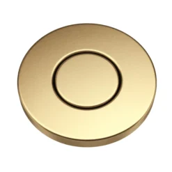Flat-Top Garbage Disposal Air Switch Button in Brushed Brass