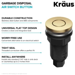 Flat-Top Garbage Disposal Air Switch Button in Brushed Brass