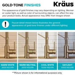 2-Function Single Handle Pull Down Kitchen Faucet in Spot-Free Brushed Brass