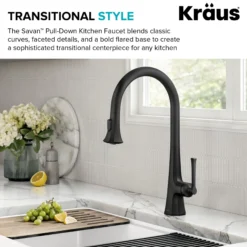 2-Function Single Handle Pull Down Kitchen Faucet in Matte Black