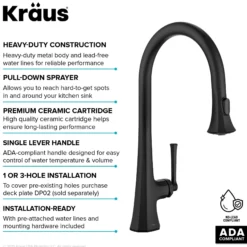 2-Function Single Handle Pull Down Kitchen Faucet in Matte Black