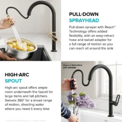 2-Function Single Handle Pull Down Kitchen Faucet in Spot-Free Brushed Brass / Matte Black