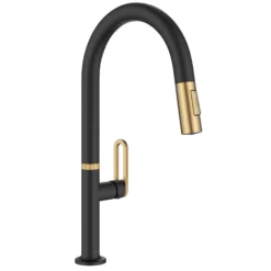 2-Function Single Handle Pull Down Kitchen Faucet in Spot-Free Brushed Brass / Matte Black