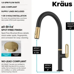 2-Function Single Handle Pull Down Kitchen Faucet in Spot-Free Brushed Brass / Matte Black