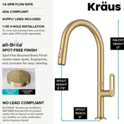2-Function Single Handle Pull Down Kitchen Faucet in Spot-Free Brushed Brass
