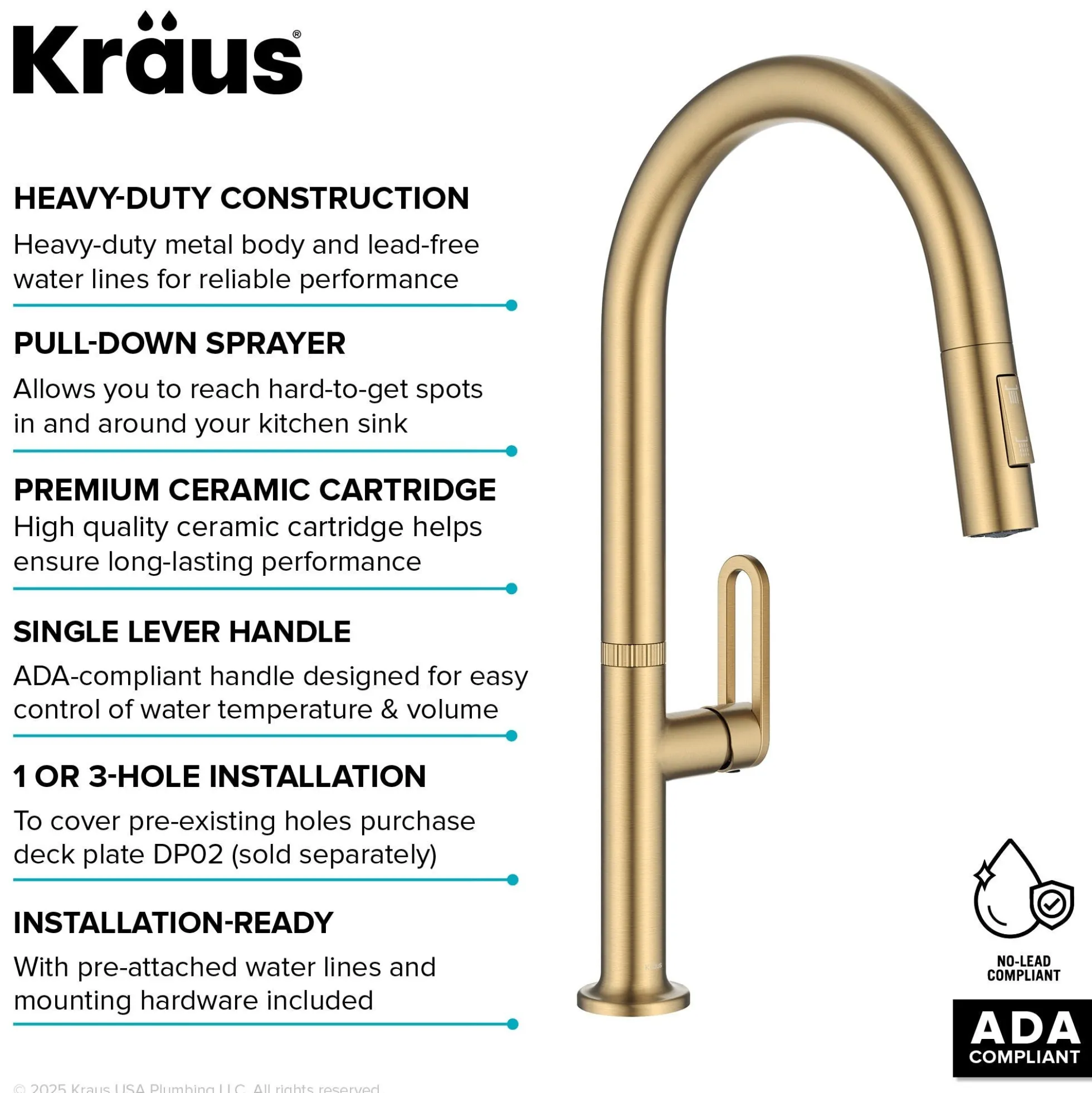 2-Function Single Handle Pull Down Kitchen Faucet in Spot-Free Brushed Brass