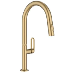2-Function Single Handle Pull Down Kitchen Faucet in Spot-Free Brushed Brass