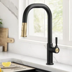 2-Function Single Handle Pull Down Kitchen Faucet in Spot-Free Brushed Brass / Matte Black