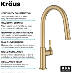 2-Function Single Handle Pull Down Kitchen Faucet in Spot-Free Brushed Brass