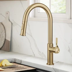 2-Function Single Handle Pull Down Kitchen Faucet in Spot-Free Brushed Brass