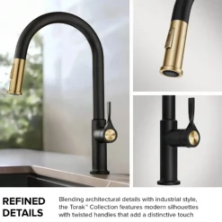 2-Function Single Handle Pull Down Kitchen Faucet in Matte Black