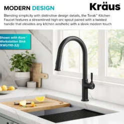 2-Function Single Handle Pull Down Kitchen Faucet in Matte Black