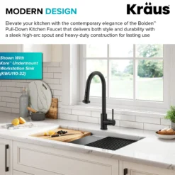 2-Function Single Handle Pull Down Kitchen Faucet in Matte Black