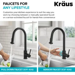 2-Function Single Handle Pull Down Kitchen Faucet in Matte Black