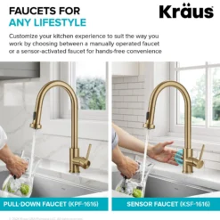 2-Function Single Handle Pull Down Kitchen Faucet in Spot-Free Brushed Brass