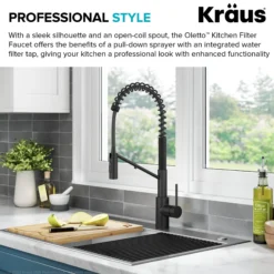2-in-1 Commercial Style Pull-Down Single Handle Water Filter Kitchen Faucet for Reverse Osmosis or Water Filtration System in Matte Black