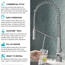 2-in-1 Commercial Style Pull-Down Single Handle Water Filter Kitchen Faucet for Reverse Osmosis or Water Filtration System in Matte Black