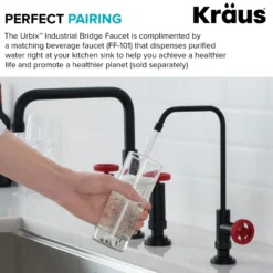 Industrial Bridge Kitchen Faucet with Side Sprayer in Matte Black/Red