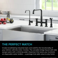 Industrial Bridge Kitchen Faucet and Water Filter Faucet Combo in Matte Black