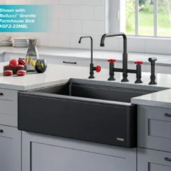 Industrial Bridge Kitchen Faucet and Water Filter Faucet Combo in Matte Black/Red