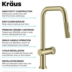Industrial Pull-Down Single Handle Kitchen Faucet in Brushed Gold