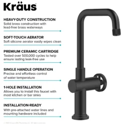 Industrial Single Handle Kitchen Bar Faucet in Faucet in Matte Black