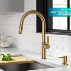 Kitchen Soap and Lotion Dispenser in Brushed Brass