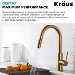 Pull-Down Kitchen Faucet and Water Filter Faucet Combo in Brushed Brass